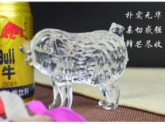 中号生肖-猪